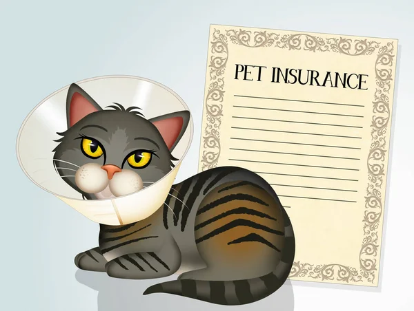 Pet Insurance: Caring for Your Furry Friends